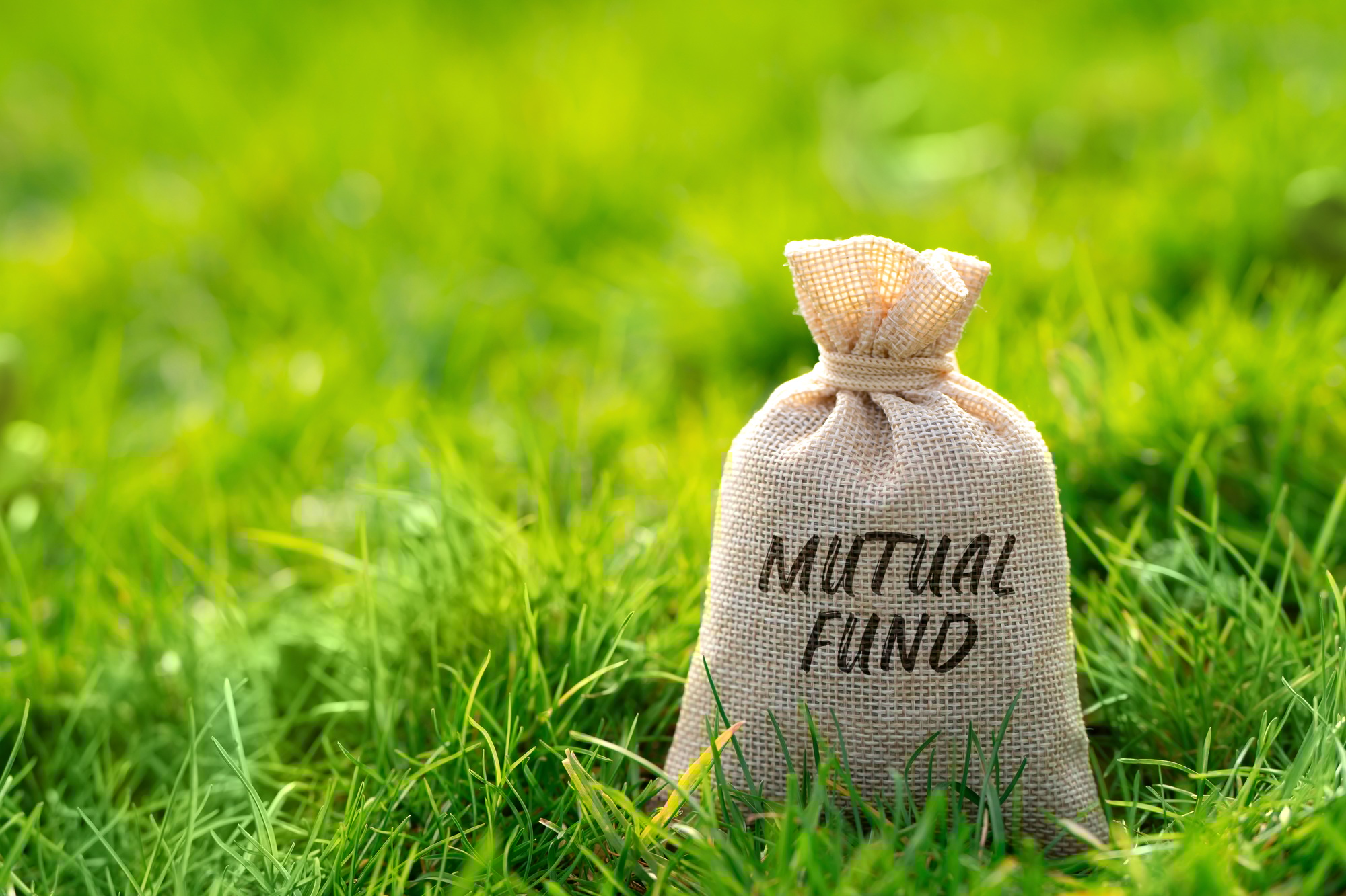 Mutual fund in a money bag.